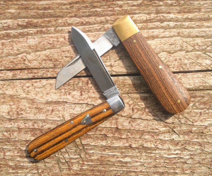KIMG2900~2.JPG
