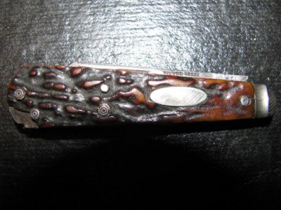 Stag0038.jpg
