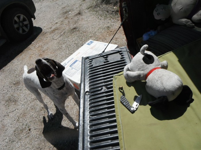 DSCF1232.JPG