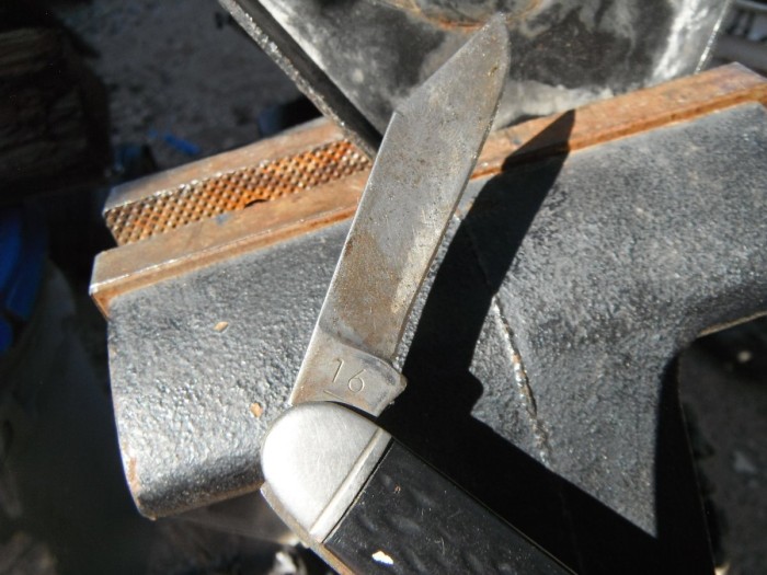 DSCF1258.JPG
