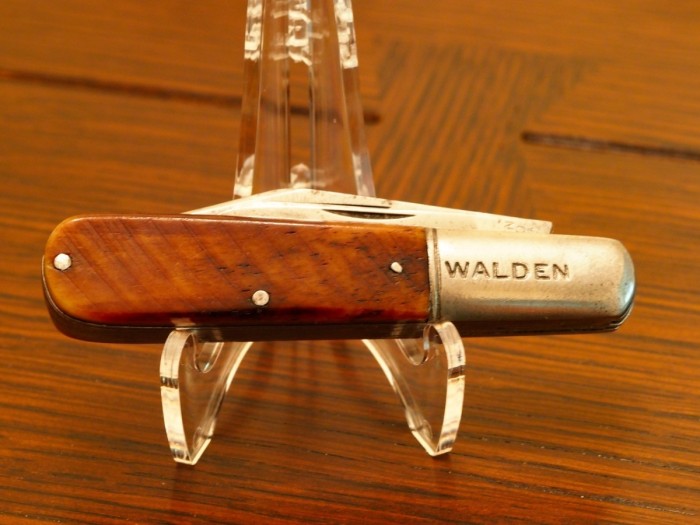 Walden1