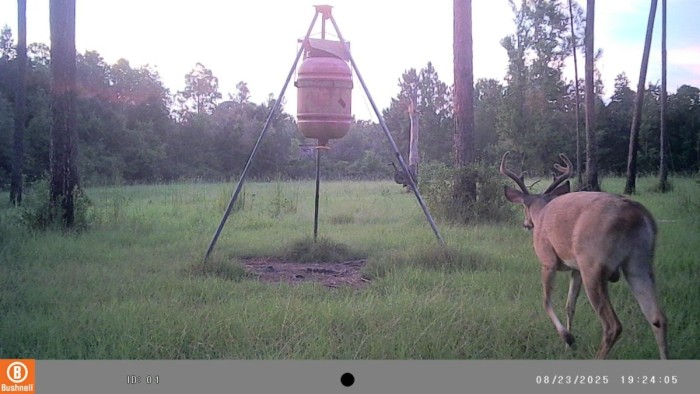 Struttin' his stuff, the big 6.