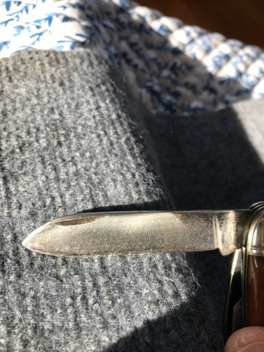 E2460EDC-0B08-4640-A9D1-5AF9A6B997FF.jpeg