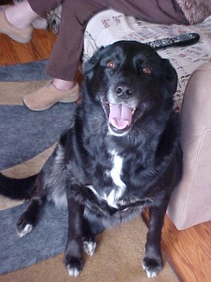 Murphy.JPG