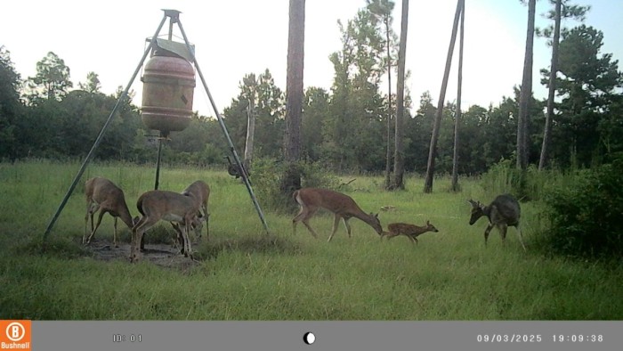 Babies are now showing up