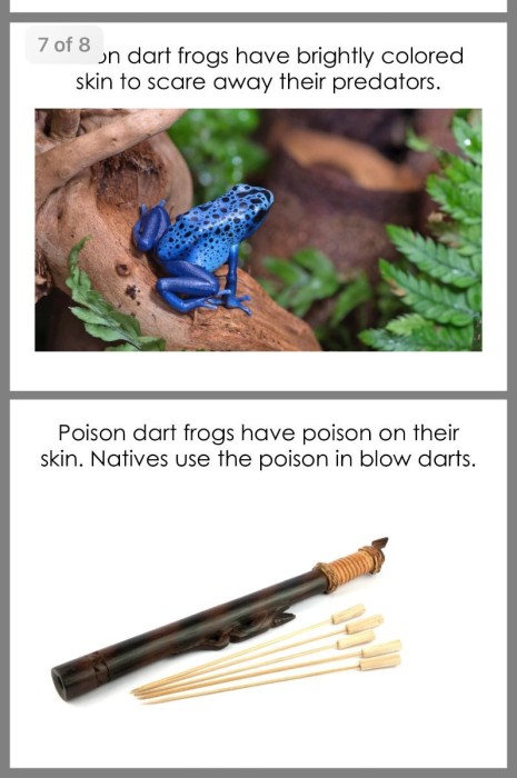 POSINFROG.jpg