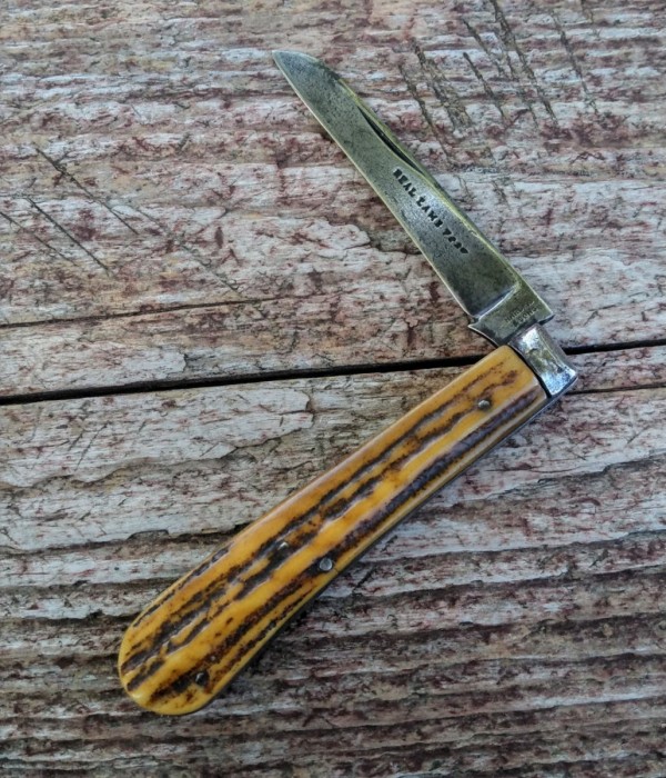 KIMG5522~2.JPG