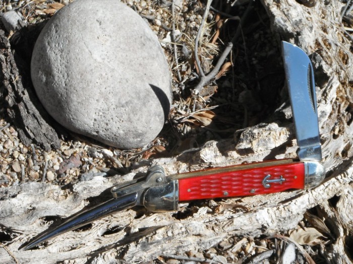 DSCF9709.JPG