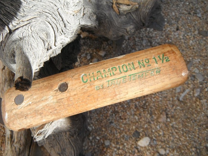 DSCF9899.JPG