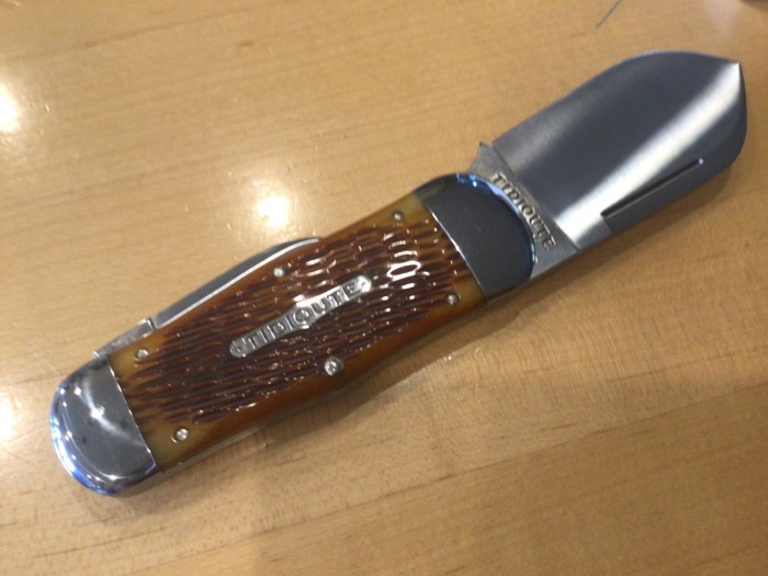 Amber Whale
