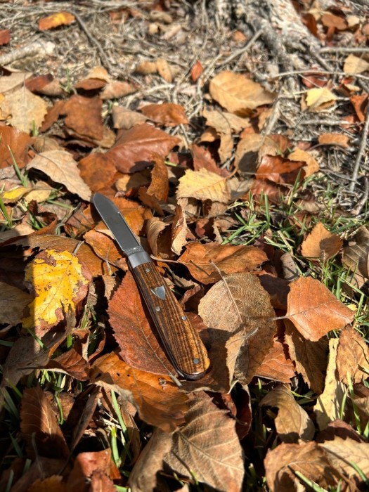 IMG_7832.jpeg