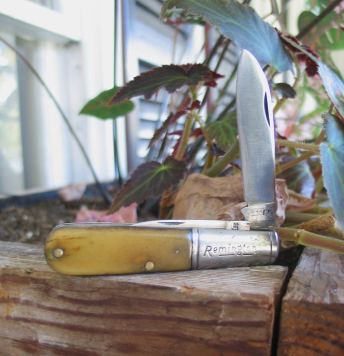 Remington Barlow One blade.JPG
