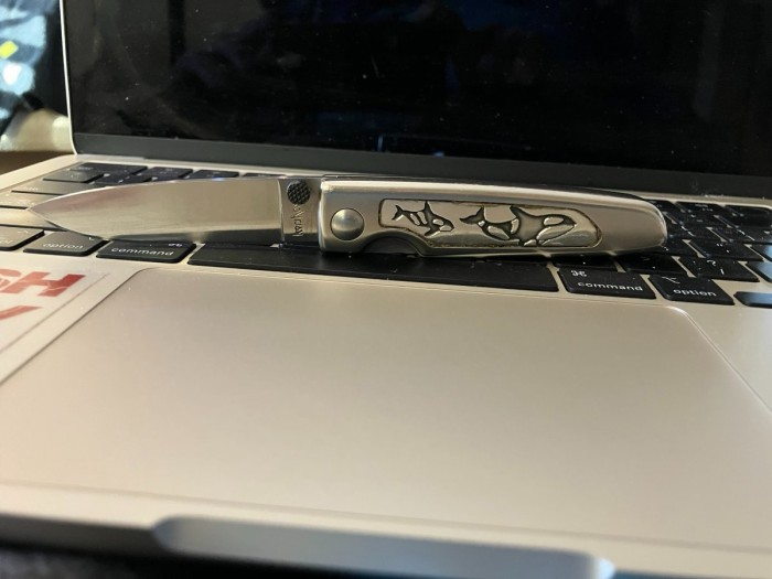 kershaw whale.JPEG