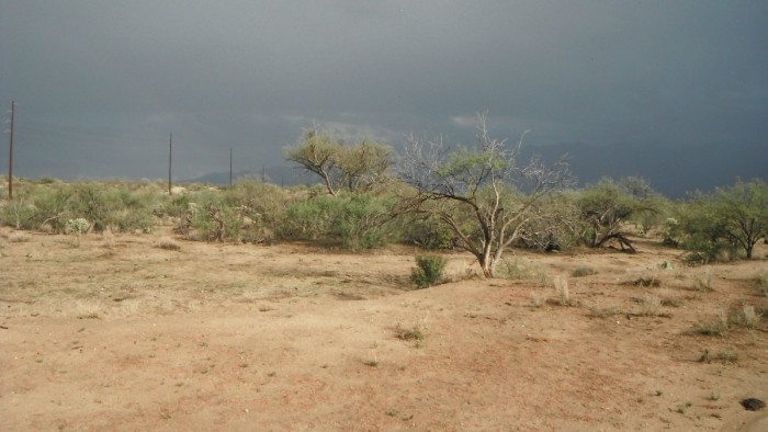 DSCF0164.JPG
