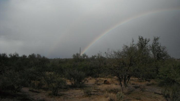DSCF0165.JPG
