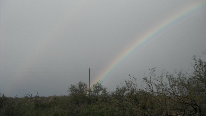 DSCF0166.JPG