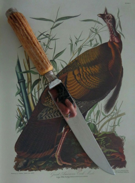 Great American Cock