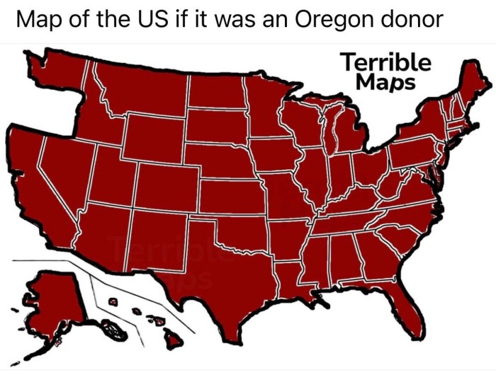 1000013388.jpg