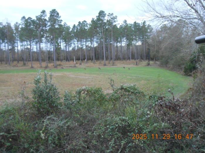 DSCN1371.JPG