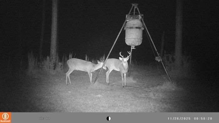 1st time seeing this 6 point.