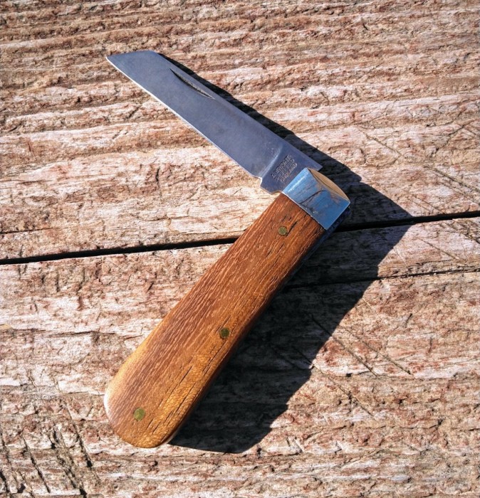 KIMG7825~2.JPG
