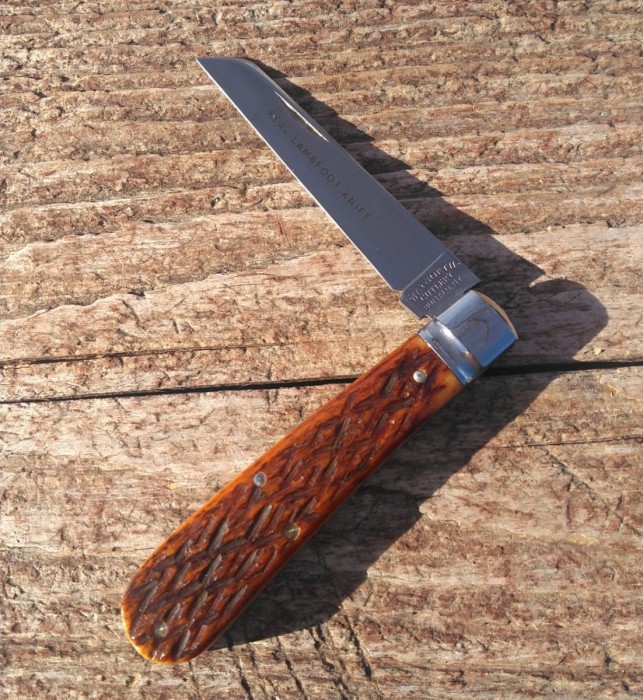 KIMG7861~2.JPG
