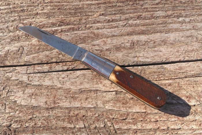 KIMG7987~2.JPG