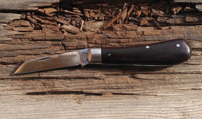 KIMG8072~2.JPG
