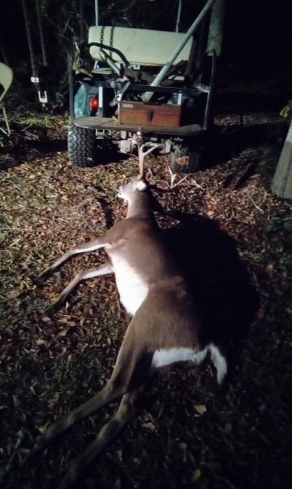 Appears he just broke the G3 on the right side, maybe I can see if I can find it where he piled up. He has several  small stickers around the burrs on both sides.