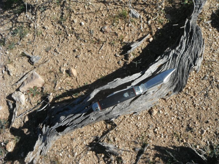 DSCF9948.JPG