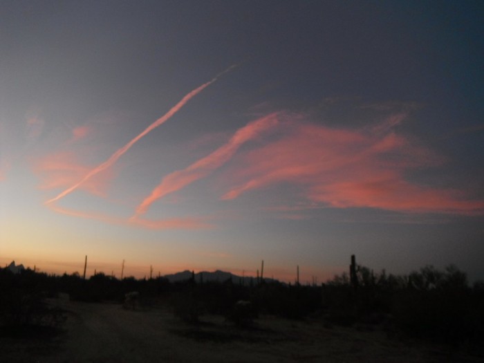 DSCF9977.JPG