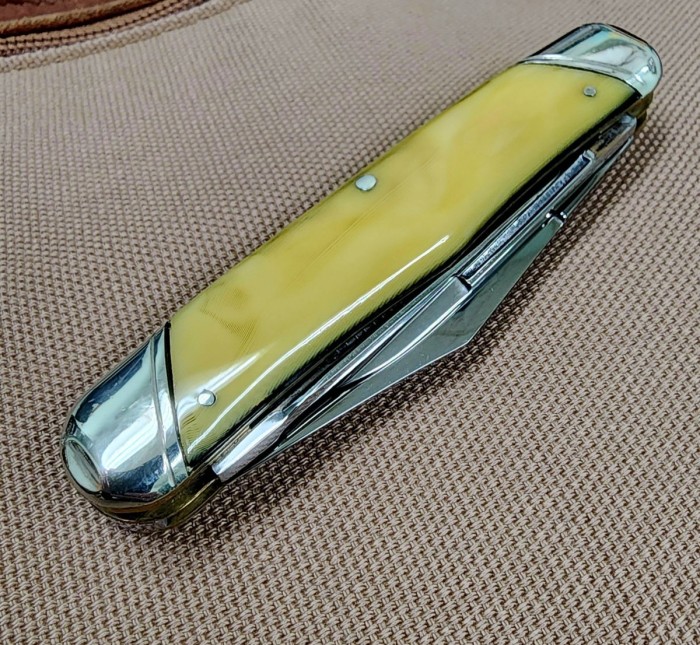 1000036984.jpg