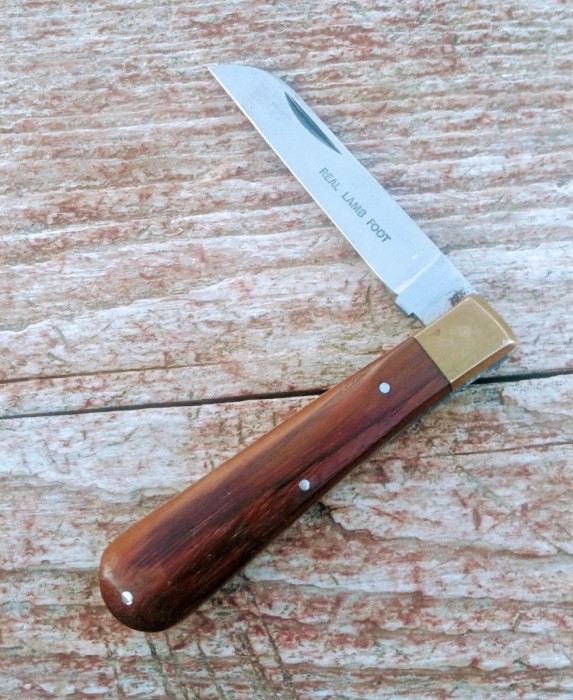 KIMG8325~2.JPG