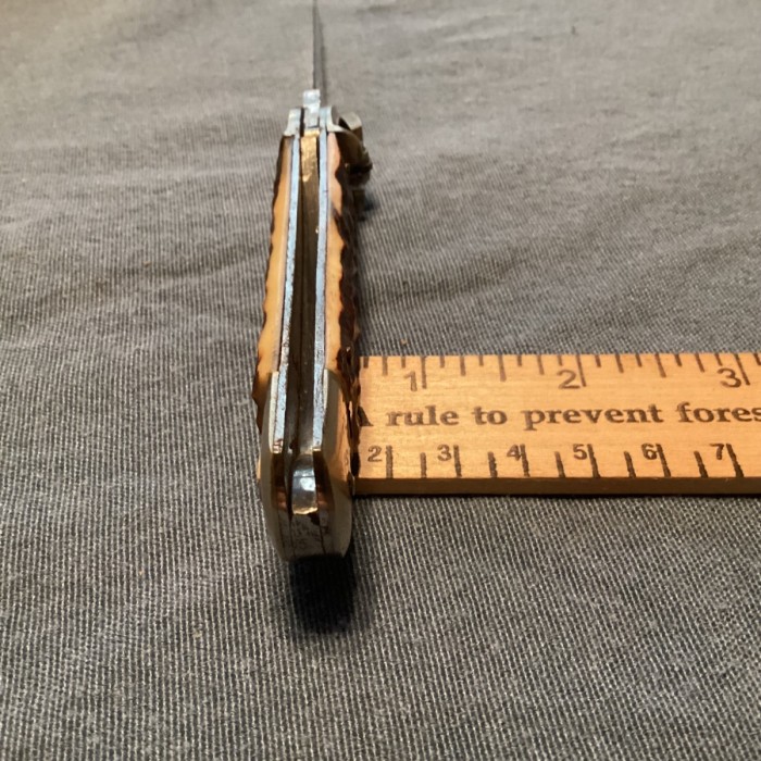 IMG_1272.jpeg