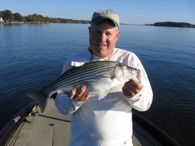 Lake Greenwood Striper.JPG