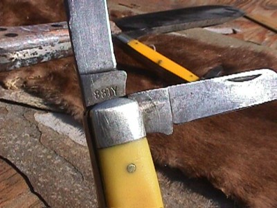 MVC-020F.JPG