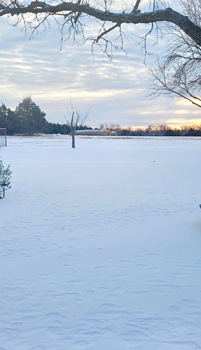 20260126_081510.jpeg