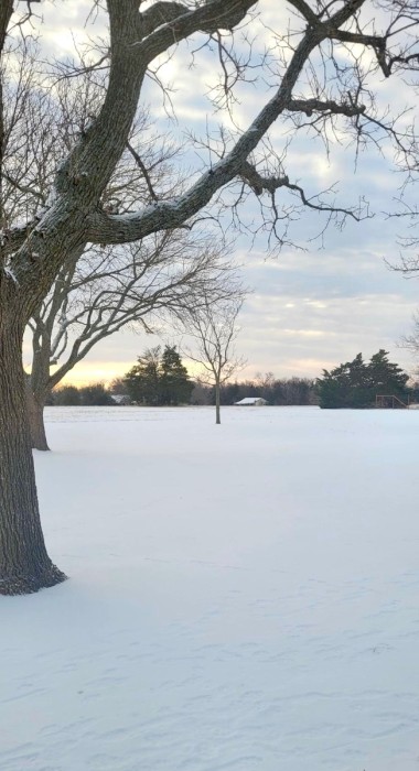 20260126_081505.jpeg