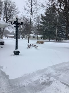 winter.jpg