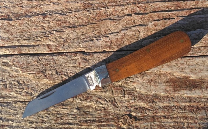 KIMG9300~2.JPG