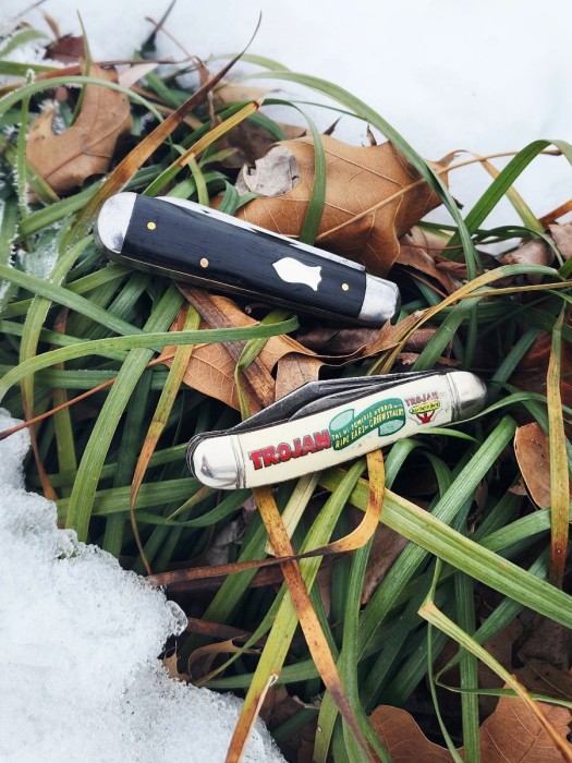 1000040483.jpg