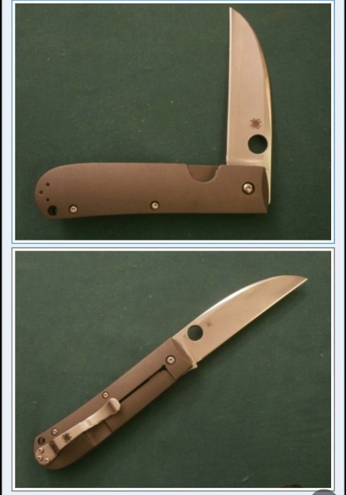 Spyderco Swayback.JPG