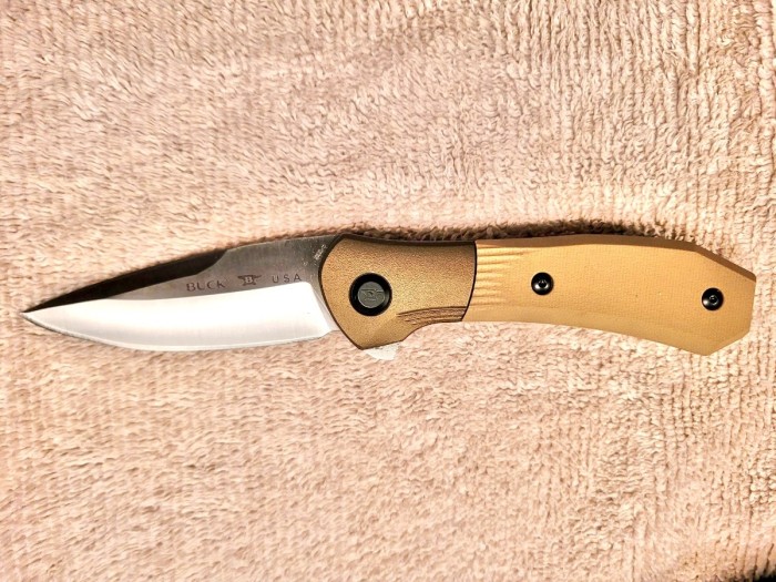 Buck Paradigm