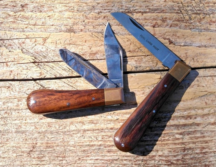 KIMG9843~2.JPG