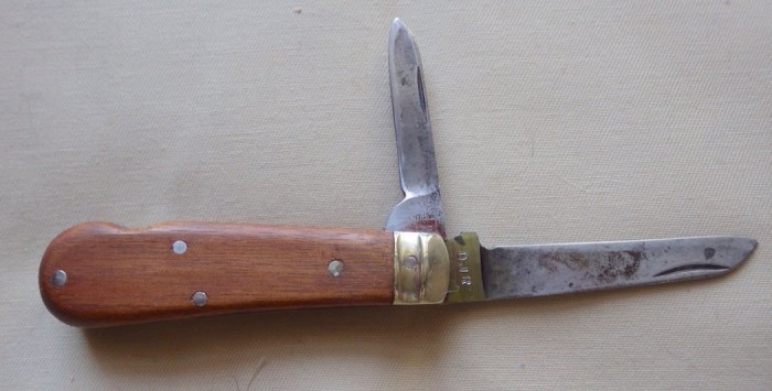 RIMG4124.JPG