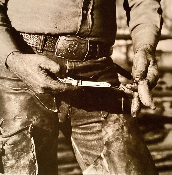 Case 6275 “Moose” in use