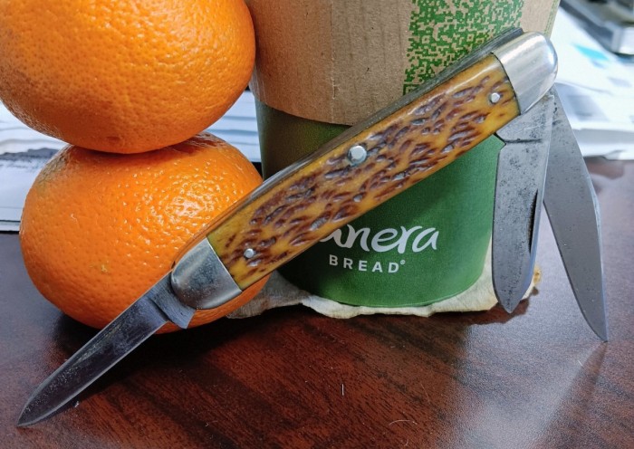 1000048367.jpg