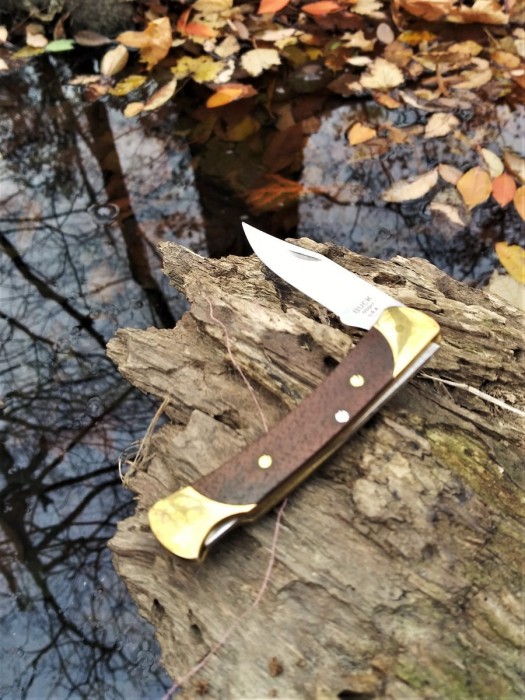 Buck 005 by the creek 4.jpg