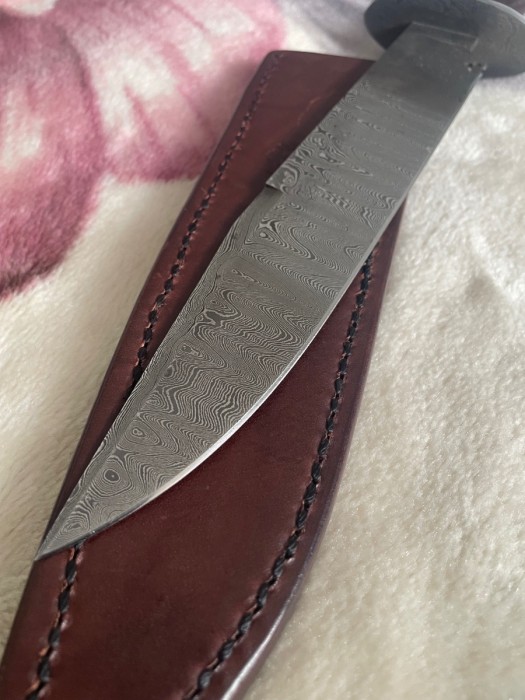 IMG_2415.jpeg