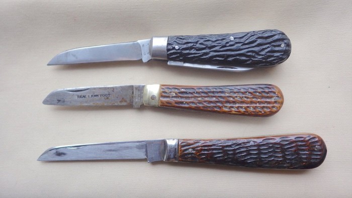RIMG4293.JPG